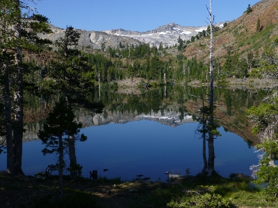 A PCT Pygmy Promenade
(Pacific Crest Trail): Carson Pass to Donner Summit